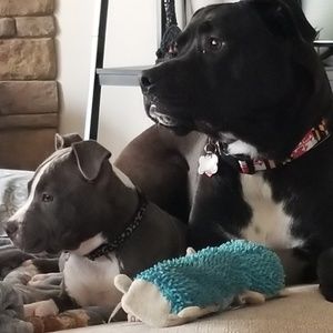 Meet your Posher, Caitlin